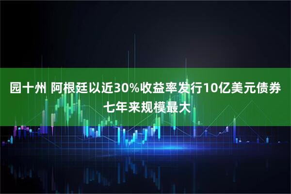 园十州 阿根廷以近30%收益率发行10亿美元债券 七年来规模最大