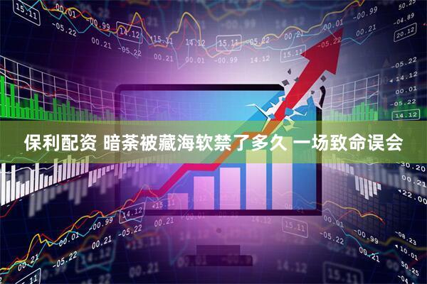 保利配资 暗荼被藏海软禁了多久 一场致命误会