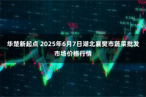 华楚新起点 2025年6月7日湖北襄樊市蔬菜批发市场价格行情