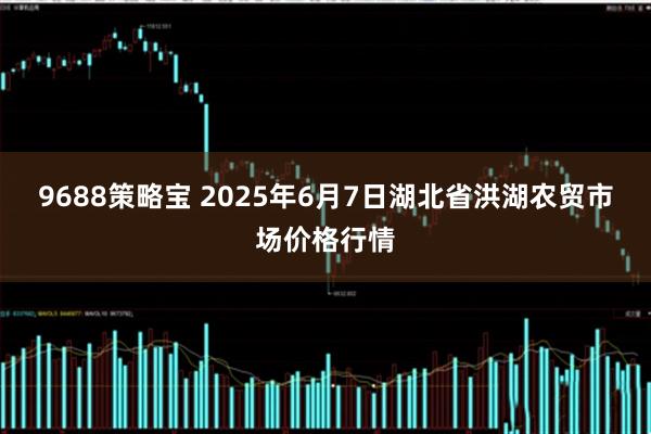 9688策略宝 2025年6月7日湖北省洪湖农贸市场价格行情