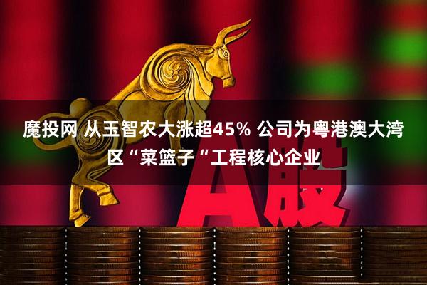 魔投网 从玉智农大涨超45% 公司为粤港澳大湾区“菜篮子“工程核心企业