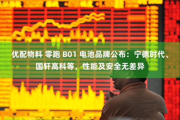 优配物料 零跑 B01 电池品牌公布：宁德时代、国轩高科等，性能及安全无差异