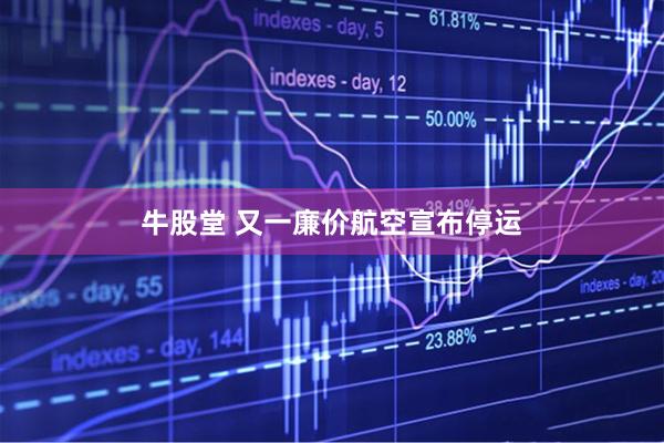 牛股堂 又一廉价航空宣布停运