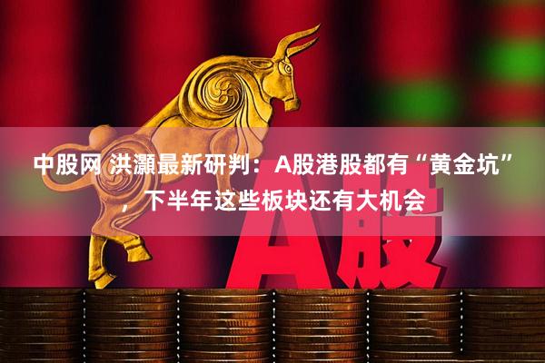 中股网 洪灝最新研判：A股港股都有“黄金坑”，下半年这些板块还有大机会