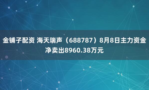 金铺子配资 海天瑞声（688787）8月8日主力资金净卖出8960.38万元