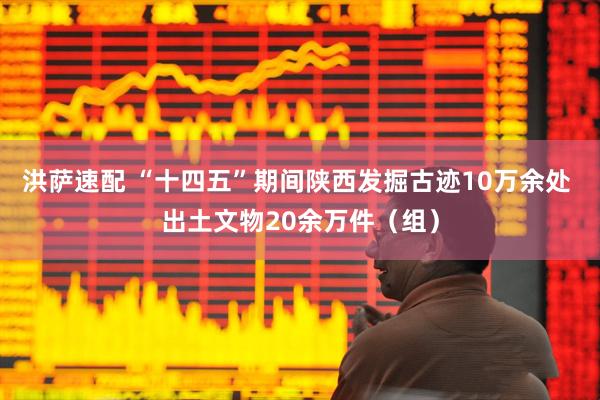 洪萨速配 “十四五”期间陕西发掘古迹10万余处 出土文物20余万件（组）