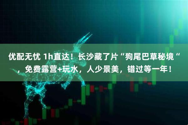 优配无忧 1h直达！长沙藏了片“狗尾巴草秘境“，免费露营+玩水，人少景美，错过等一年！