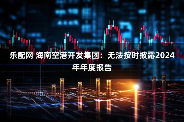 乐配网 海南空港开发集团：无法按时披露2024年年度报告